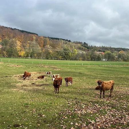 Osada Aurora Caloroczne Z Jacuzzi Z Widokiem Na Jezioro I Gory