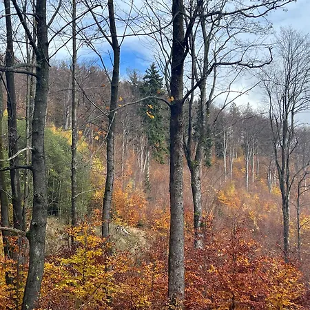 度假居 Osada Aurora Caloroczne Z Jacuzzi Z Widokiem Na Jezioro I Gory Miszkowice