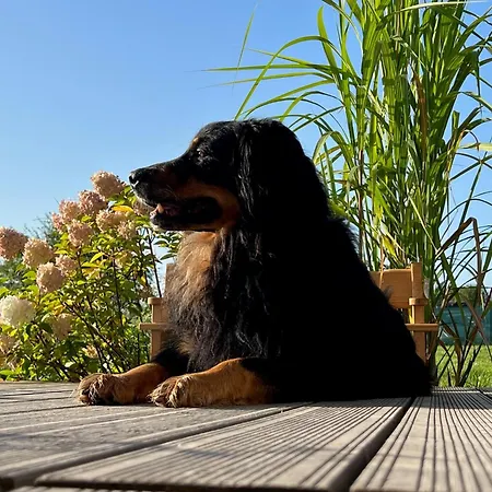 Ferienhaus Osada Aurora Caloroczne Z Jacuzzi Z Widokiem Na Jezioro I Gory *