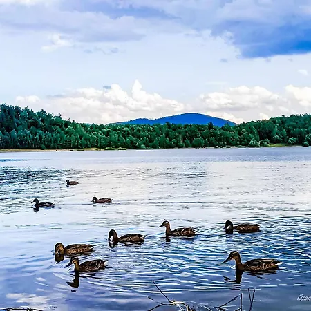 Osada Aurora Caloroczne Z Jacuzzi Z Widokiem Na Jezioro I Gory 別荘 Miszkowice