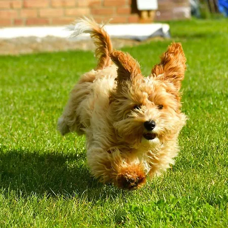 度假居 Osada Aurora Caloroczne Z Jacuzzi Z Widokiem Na Jezioro I Gory *