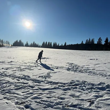 Osada Aurora Caloroczne Z Jacuzzi Z Widokiem Na Jezioro I Gory 別荘 Miszkowice
