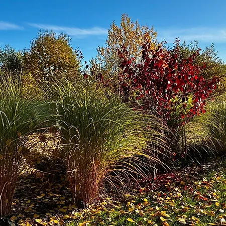 別荘 Osada Aurora Caloroczne Z Jacuzzi Z Widokiem Na Jezioro I Gory