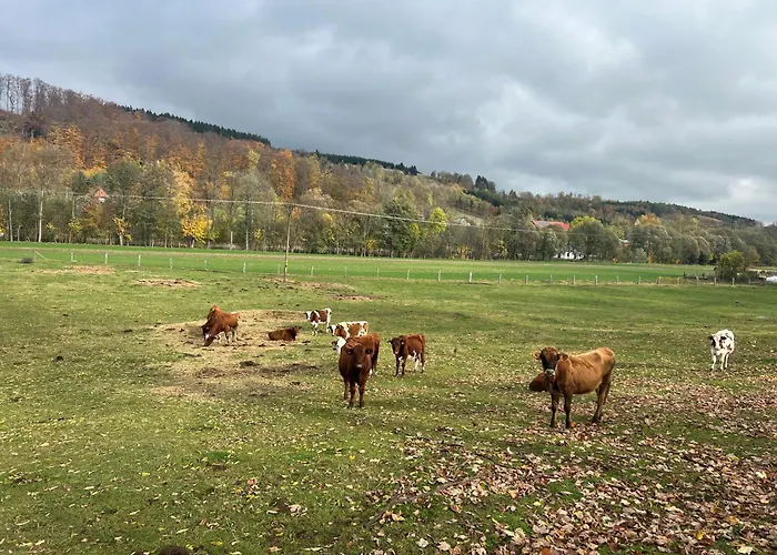 Osada Aurora Caloroczne Z Jacuzzi Z Widokiem Na Jezioro I Gory