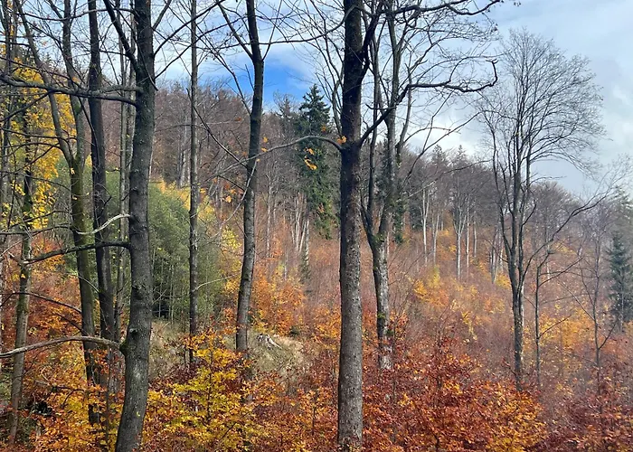 Prázdninový dům Osada Aurora Caloroczne Z Jacuzzi Z Widokiem Na Jezioro I Gory Miszkowice