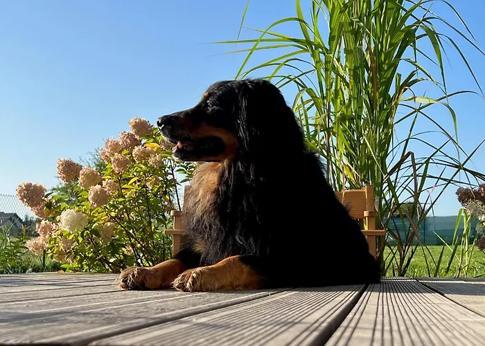 Prázdninový dům Osada Aurora Caloroczne Z Jacuzzi Z Widokiem Na Jezioro I Gory *