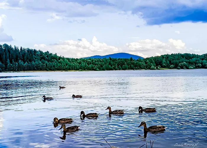 Osada Aurora Caloroczne Z Jacuzzi Z Widokiem Na Jezioro I Gory Ferienhaus Miszkowice