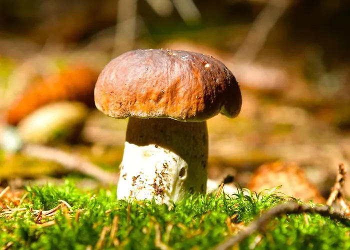 Osada Aurora Caloroczne Z Jacuzzi Z Widokiem Na Jezioro I Gory Ferienhaus