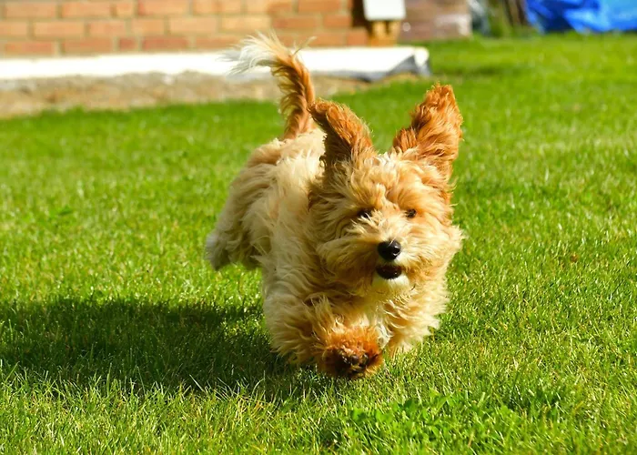 Ferienhaus Osada Aurora Caloroczne Z Jacuzzi Z Widokiem Na Jezioro I Gory *